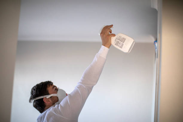 Home Mold Removal in Taylor, MI