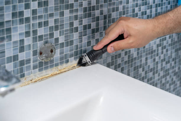 Best Mold Remediation  in Taylor, MI